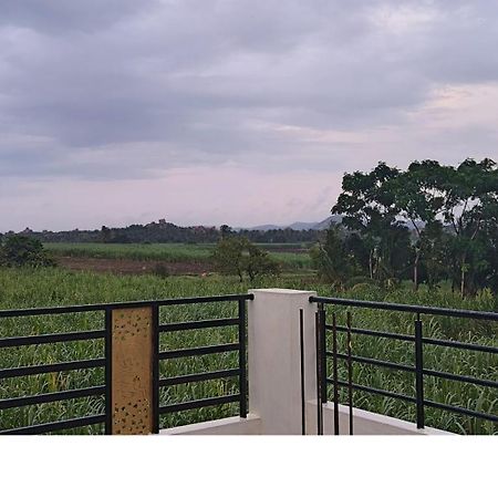 Coconut Homestay ハンピ エクステリア 写真