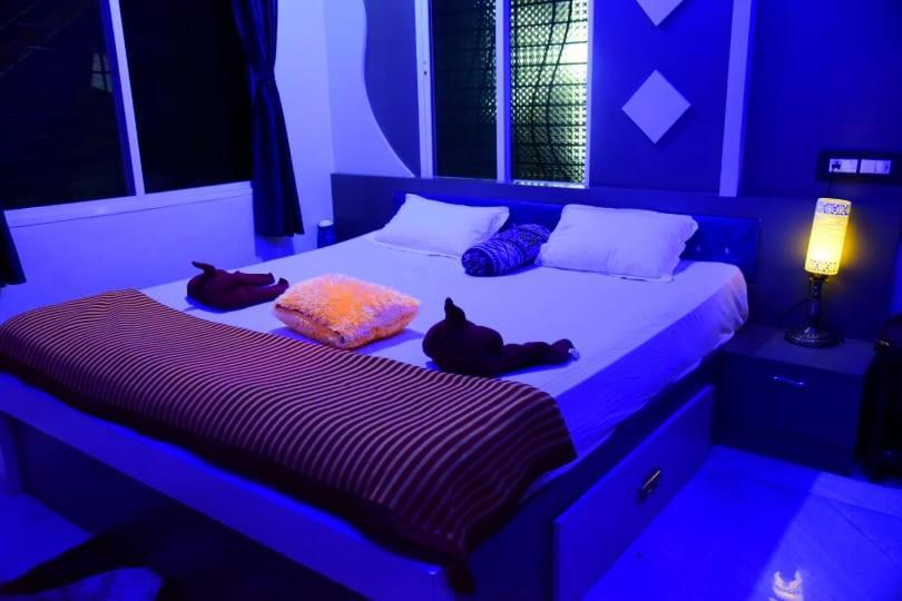 Coconut Homestay ハンピ エクステリア 写真